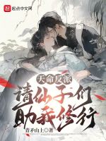 小說(shuō)《/data/image/2733.jpg》封面