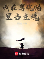 小說(shuō)《/data/image/2902.jpg》封面
