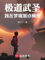 小說(shuō)《/data/image/316.jpg》封面