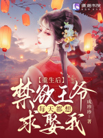 小說(shuō)《/data/image/3241.jpg》封面