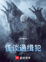 小說(shuō)《/data/image/3408.jpg》封面