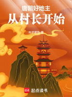 小說《/data/image/411.jpg》封面