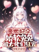 小說(shuō)《/data/image/4245.jpg》封面
