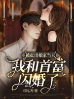 小說(shuō)《/data/image/4331.jpg》封面