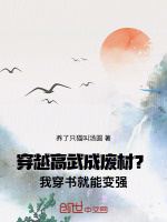 小說(shuō)《/data/image/4551.jpg》封面
