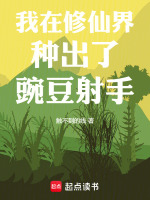 小說(shuō)《/data/image/4601.jpg》封面