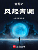 小說(shuō)《/data/image/4603.jpg》封面