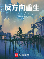 小說(shuō)《/data/image/4657.jpg》封面
