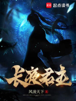 小說(shuō)《/data/image/6502.jpg》封面