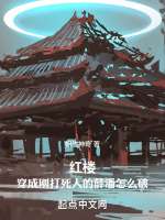 小說(shuō)《/data/image/6524.jpg》封面