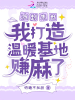 小說(shuō)《/data/image/6627.jpg》封面