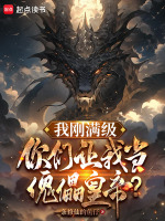 小說(shuō)《/data/image/6688.jpg》封面