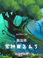 小說(shuō)《/data/image/6808.jpg》封面
