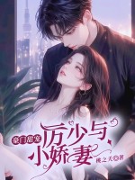 小說《/data/image/70.jpg》封面