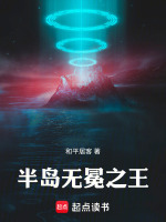 小說(shuō)《/data/image/7042.jpg》封面