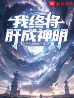 小說(shuō)《/data/image/7913.jpg》封面