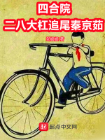 小說(shuō)《/data/image/8117.jpg》封面