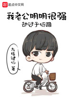 小說(shuō)《/data/image/8521.jpg》封面