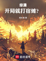 小說(shuō)《/data/image/8578.jpg》封面