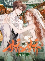 小說《/data/image/8721.jpg》封面