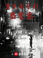 小說(shuō)《/data/image/8864.jpg》封面
