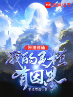 小說(shuō)《/data/image/890.jpg》封面
