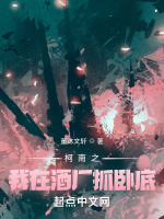 小說(shuō)《/data/image/9781.jpg》封面