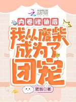 小說(shuō)《/data/image/9806.jpg》封面